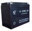 閥控式鉛酸蓄電池6GFM-50 12V50Ah(10HR)